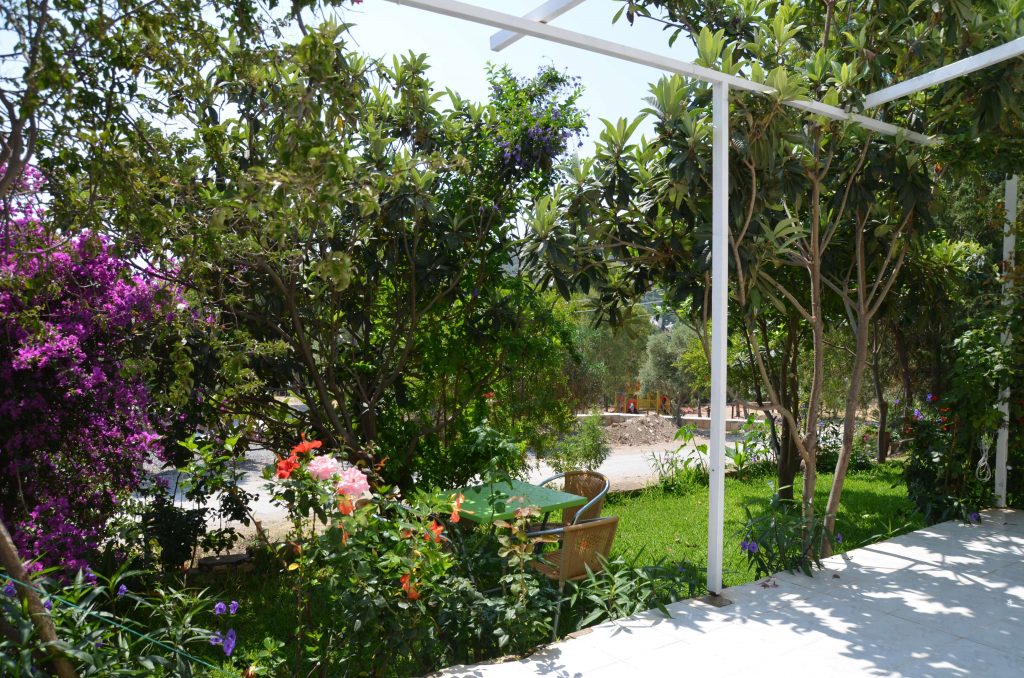http://www.mercanpansiyon.com/wp-content/uploads/2019/06/zeytin-1-1024x678.jpg
