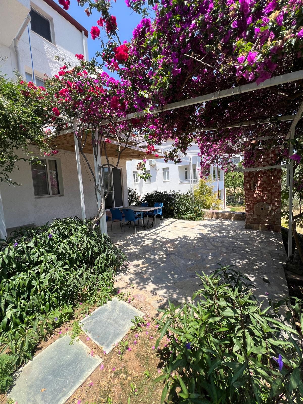 http://www.mercanpansiyon.com/wp-content/uploads/2025/06/zeytin2.jpeg