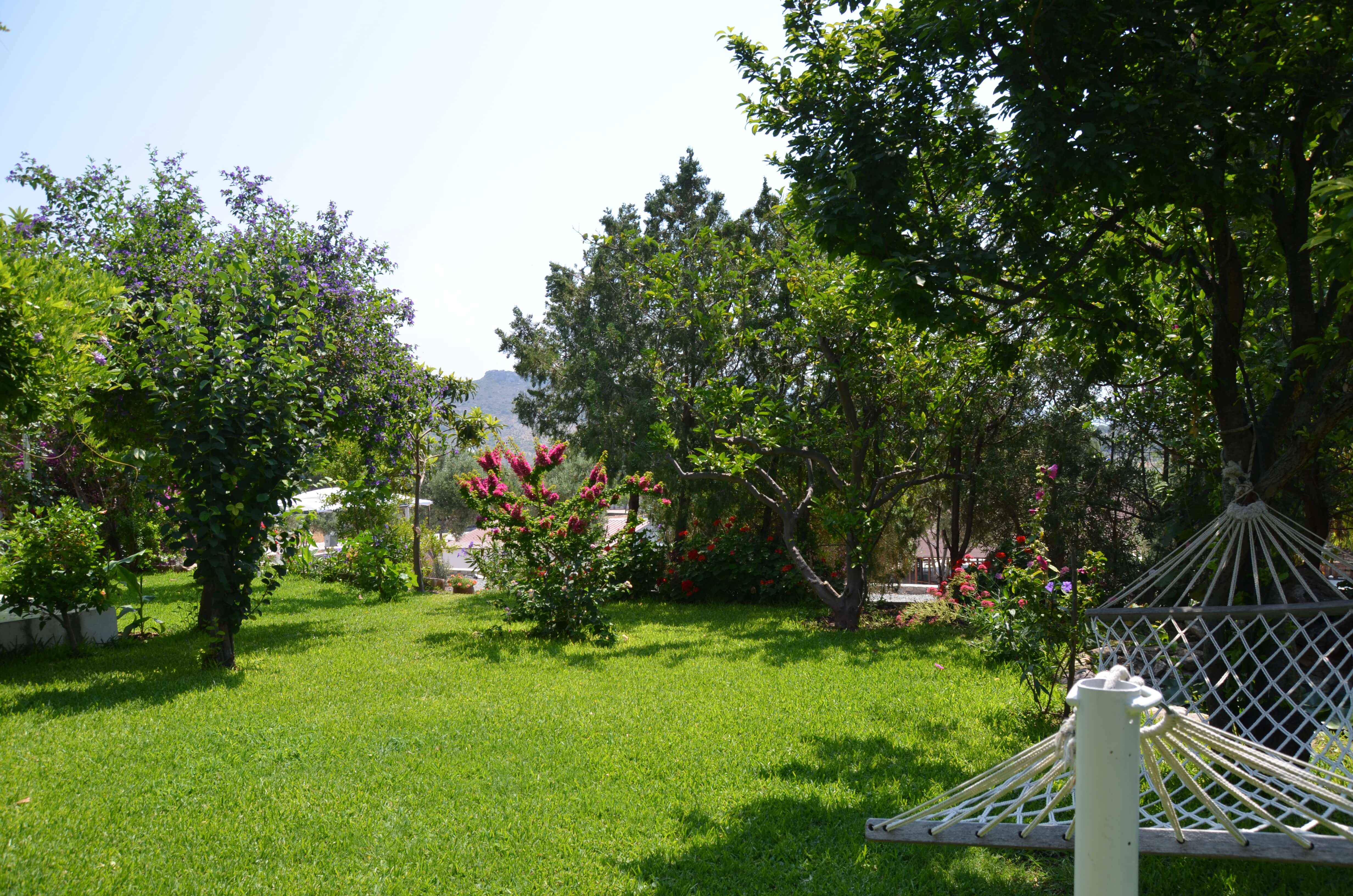 Zeytin